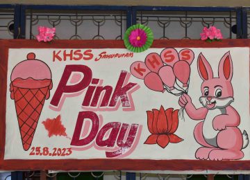 Kindergarten Pink Day Celebration 2